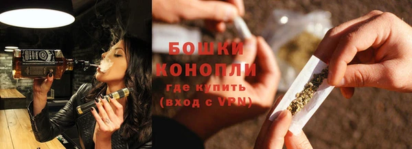 сатива Бородино