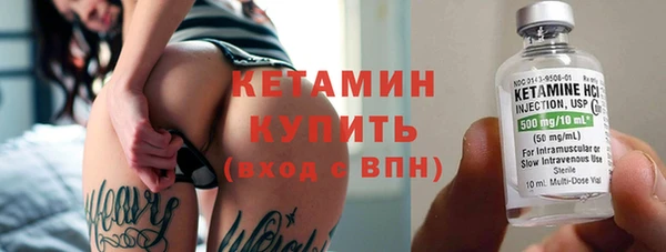 сатива Бородино