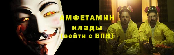 прущие грибы Верея