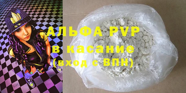 сатива Бородино