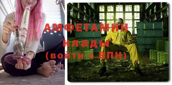 прущие грибы Верея