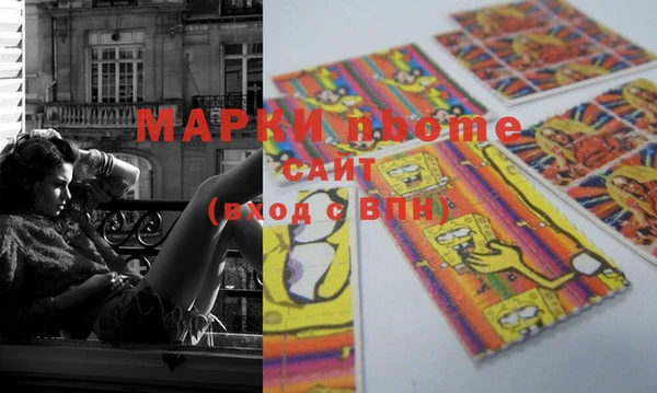 прущие грибы Верея