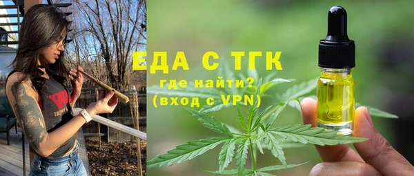 сатива Бородино