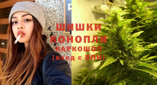 прущие грибы Верея