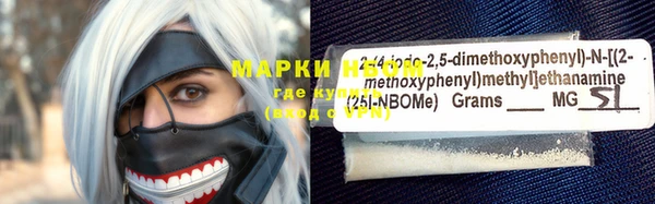 прущие грибы Верея