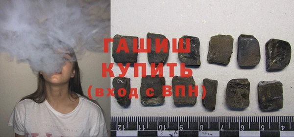 сатива Бородино